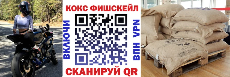 Cocaine Fish Scale  Купить закладки  Маркс 