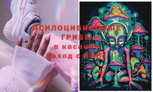СК Мегион