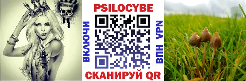 Купить закладки Маркс Псилоцибиновые грибы Psilocybe